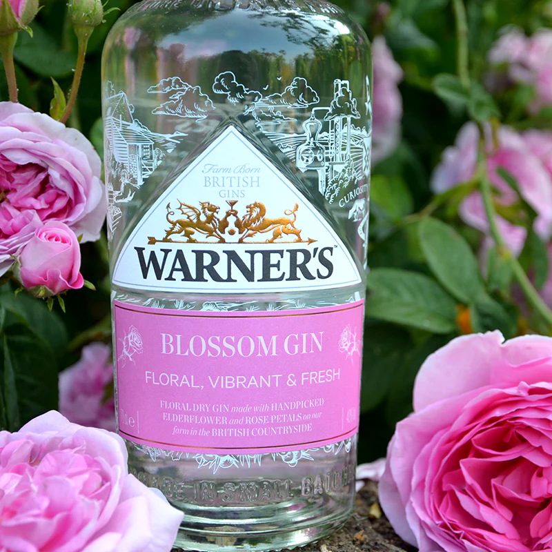 Blossom Gin - Image 4