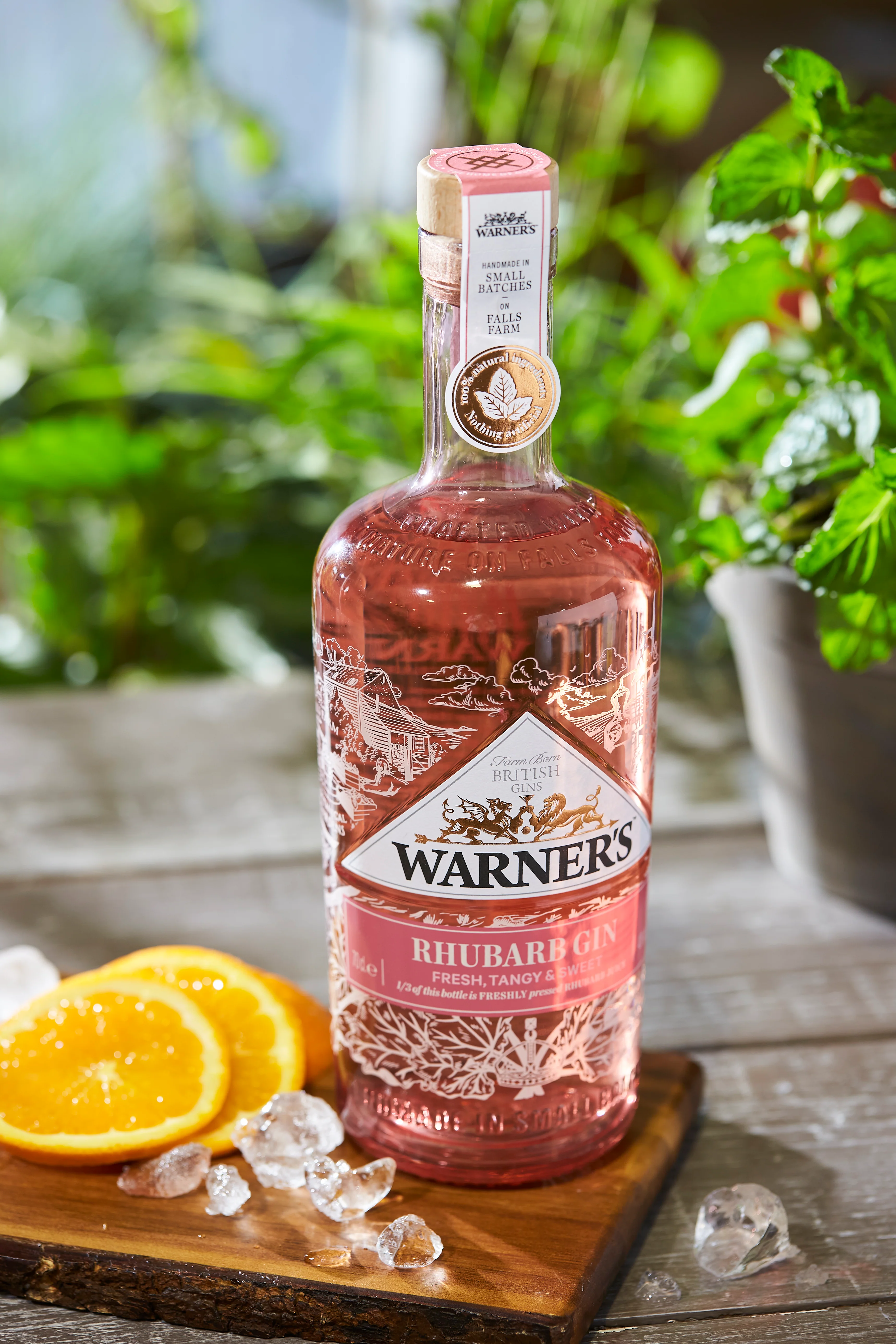 Rhubarb Gin with FREE tumbler - Image 5