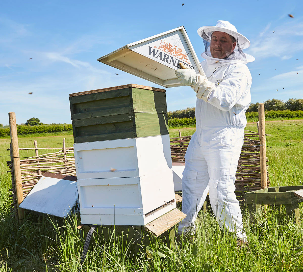 Warner's Honey (227g) - Image 2